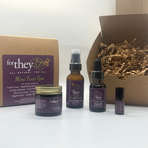 Mini Face Spa Kit
